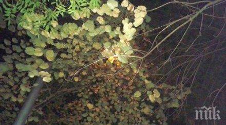 бургазлии улиците потънаха мрак светим телефоните видео