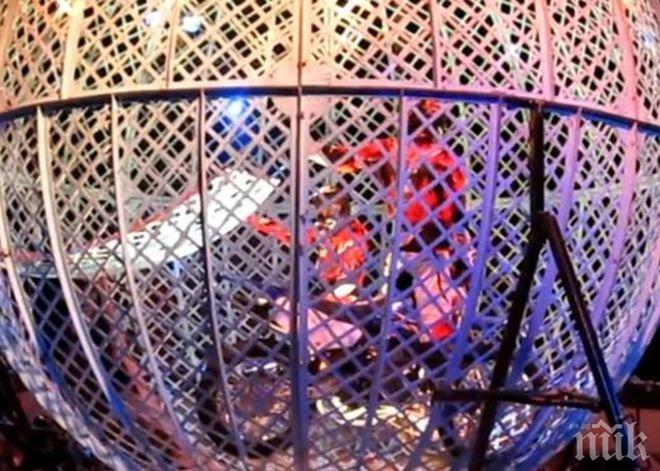 Експерти: Циркът, в който пострадаха осем акробатки, допуснал нарушения