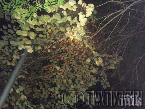 Бургазлии: Улиците ни потънаха в мрак, светим си с телефоните (видео)