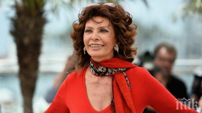 Оперираха кино иконата София Лорен