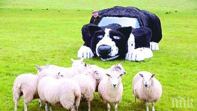 Фермер дегизира колата си като куче