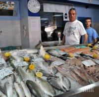 Изнасяме тонове риба за Гърция