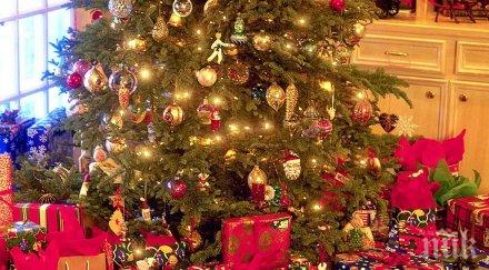 половин българия път коледа нова година