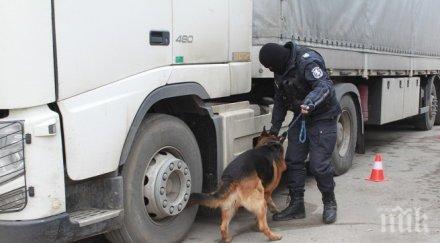 спипаха румънци злато панталоните капитан андреево