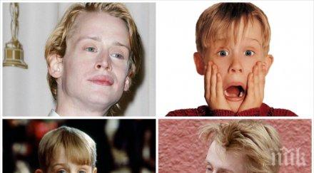 светът пощуря лъжа маколи кълкин открит мъртъв снимка