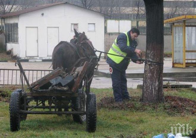 Трагедия на пътя! Камион блъсна каруца, каруцарят е с опасност за живота!