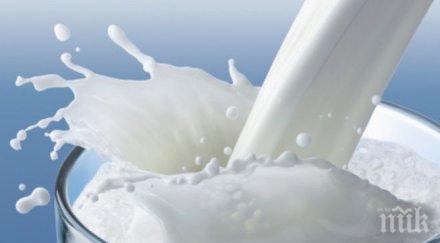 млекопроизводителите излизат декларация искания мзх