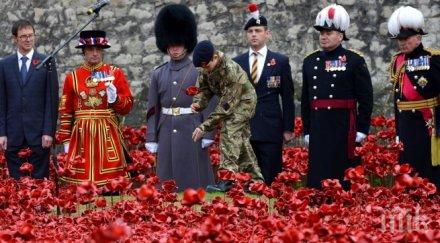 европа отбеляза деня примирието