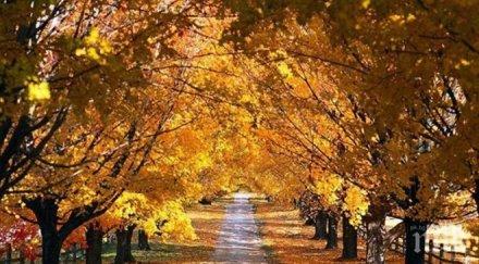 температурите достигнат градуса