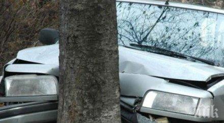 поредна трагедия пътя годишен загина удар дърво карал