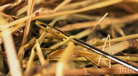 ексцентричен творец търси игла купа сено буквално