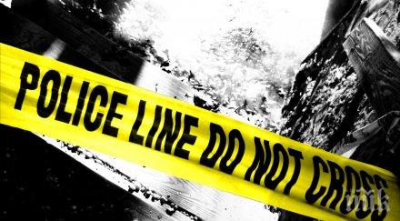 зверство музикант уби съпругата бон