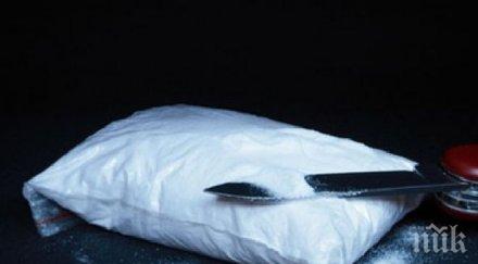 полицаи заловиха 600 кокаин чешки платноход