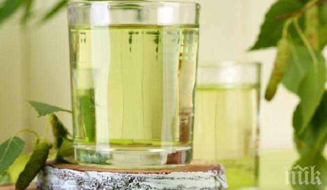 Брезовият сок бори грипа и главоболието