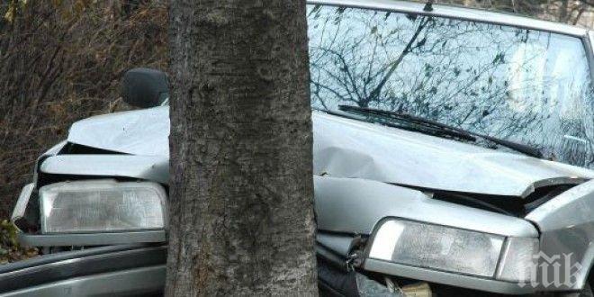 Поредна трагедия на пътя! 28-годишен загина след удар в дърво, карал бързо