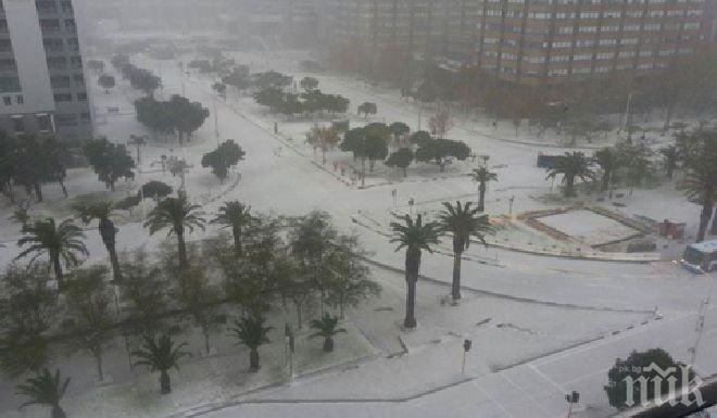 Ужас! Студът в Сащ и Канада взе жертви