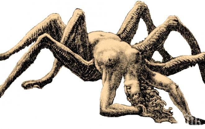 Тайнствена 13-а зодия в хороскопа белязва гениите! Гарантира им бляскаво бъдеще и съдба, пълна с обрати!