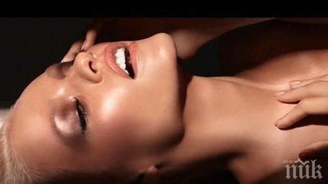 Отвори врати дамски бар за секс играчки 