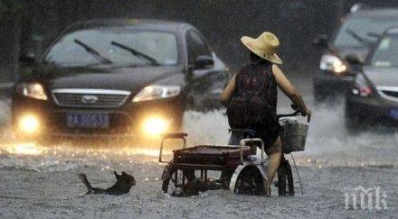 пет станаха жертвите потопа италия