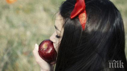 разказват приказките братя грим възрастни