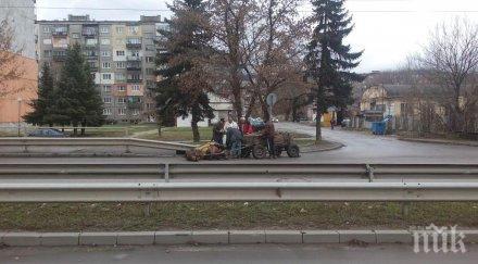 ново зверство кон каруца падна улица перник цигани ритат стане снимки