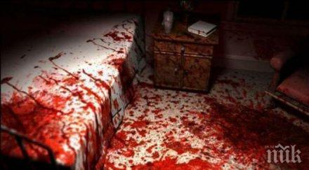 извънредно пик кърваво убийство столицата хазяин закла годишния наемател обновена