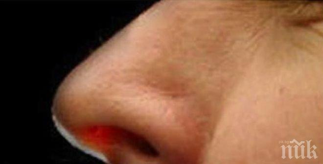 Опознайте себе си! Формата на носа издава характера