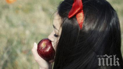 Какво разказват приказките на братя Грим, но за... възрастни