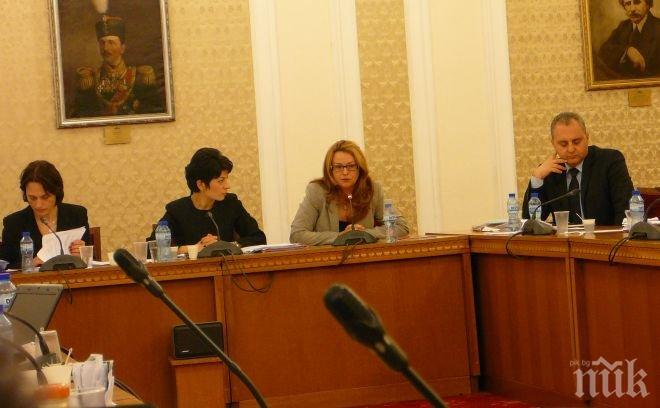 Шефката на БНТ Анкова пред депутати: Идеята за парламентарен канал е много добра, реализирана е в много държави