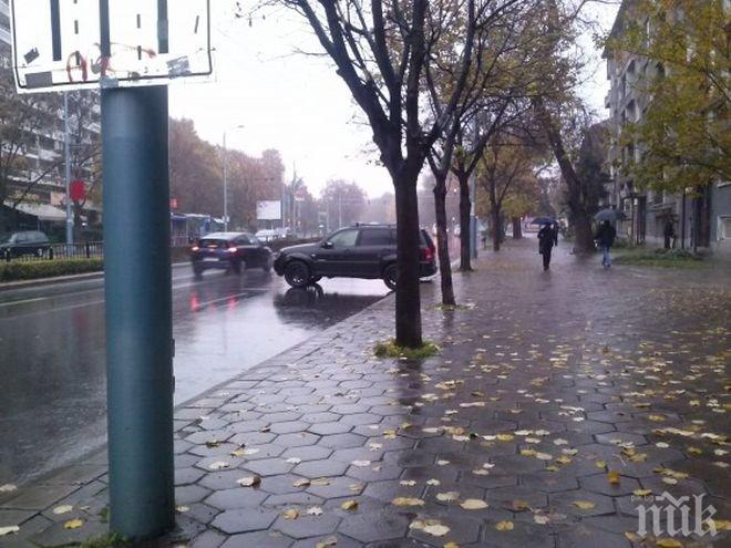 Потрес! Няма да повярвате как е паркирал този автомобил! (снимки)