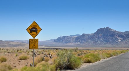 субкритичен ядрен опит невада