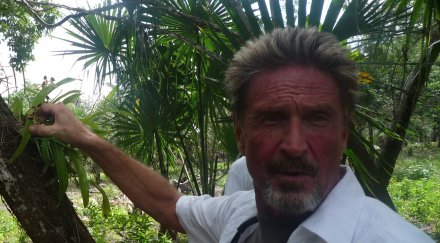 арестуваха джон макафи гватемала