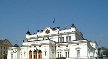 майки щурмуваха парламента заради лева