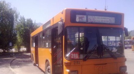 рейса возят студентите празника