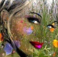 Най-известните изобретения, създадени от жени