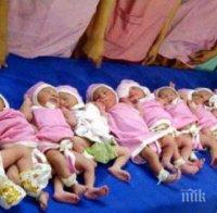 Започва кампания за недоносените деца