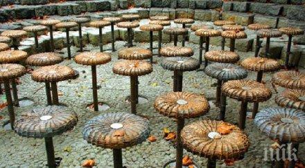 фонтаните бургас зазимени