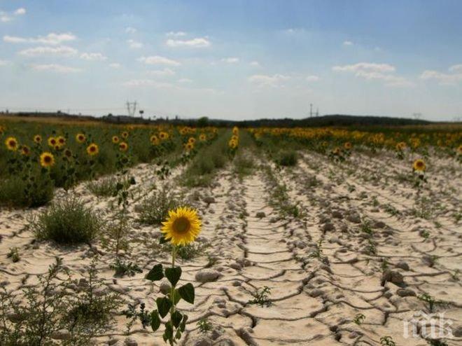 Климатолози с лоша прогноза пред ПИК и Час Пик: Страшна суша и глад ни морят догодина
