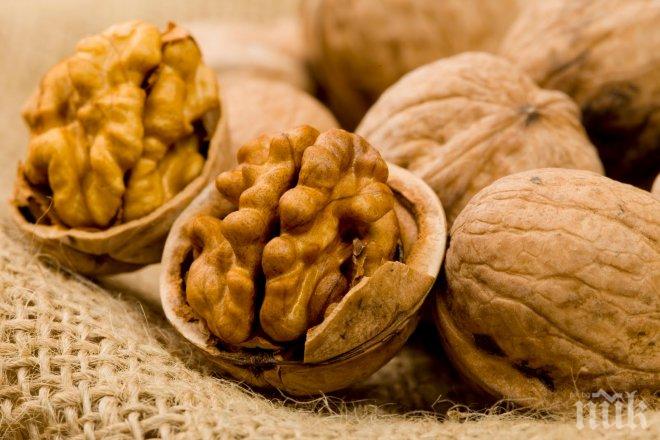 Всекидневната консумация на орехи предпазва от рак на простатата
