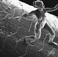 Унищожиха най-малката скулптура в света по невнимание