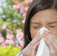 Невидими кърлежи носят кашлица и хрема