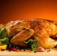 Внимание! Потресаващи факти за пилешкото месо, което ядем