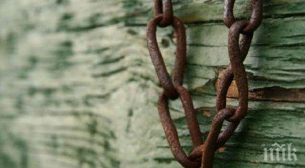 ужасяващо айриш таймс038 населението българия подложено различни форми робство