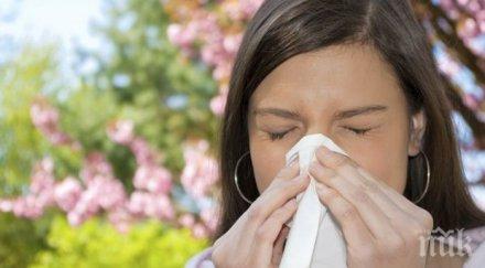 невидими кърлежи носят кашлица хрема