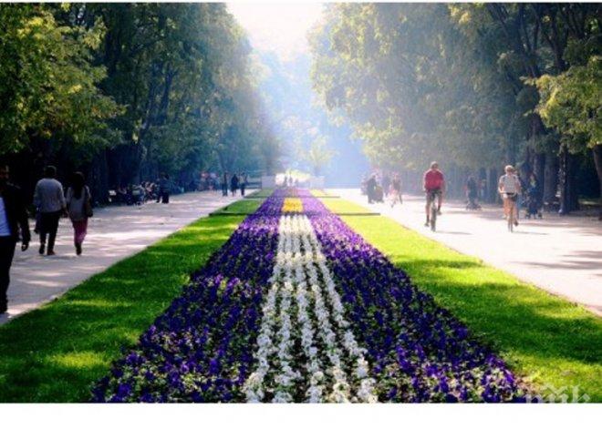 Варна става Европейска младежка столица през 2017 г.