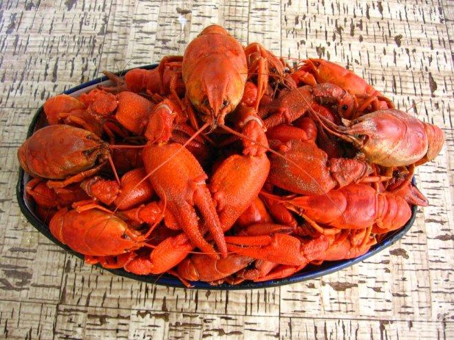 Глобиха мъж за незаконен улов на раци