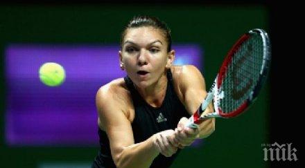 симона халеп петра квитова играят сидни