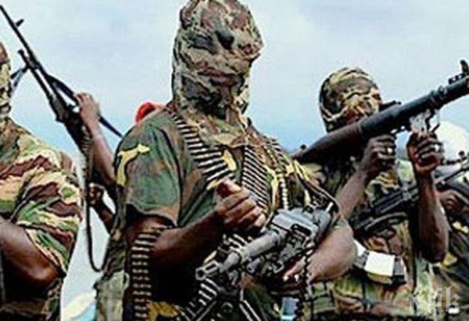 Бойци на „Боко Харам” са убили 48 души в Нигерия