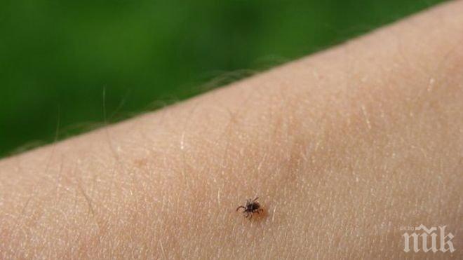 Във Варна липсват тестове за Лаймска болест