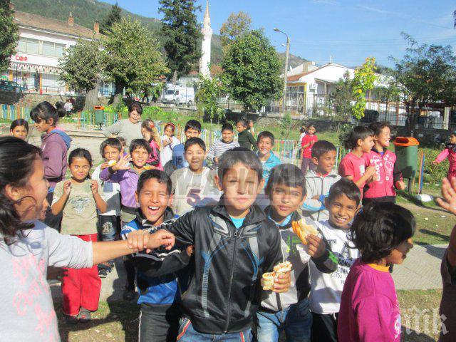 Прокоба тегне над Розино! Убийства, самоубийства и кървави разпри разтресоха селото